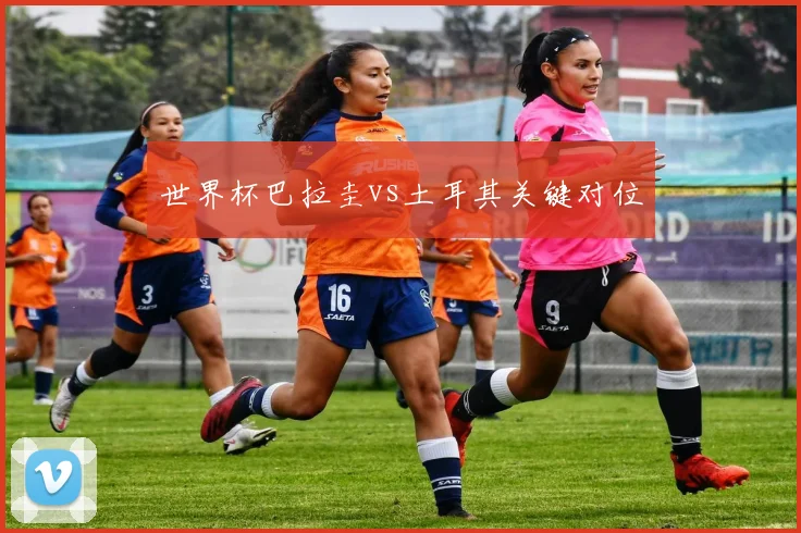 世界杯巴拉圭vs土耳其关键对位