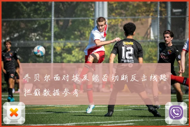 乔贝尔面对埃及能否切断反击线路拦截数据参考
