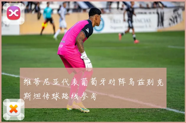 维蒂尼亚代表葡萄牙对阵乌兹别克斯坦传球路线参考