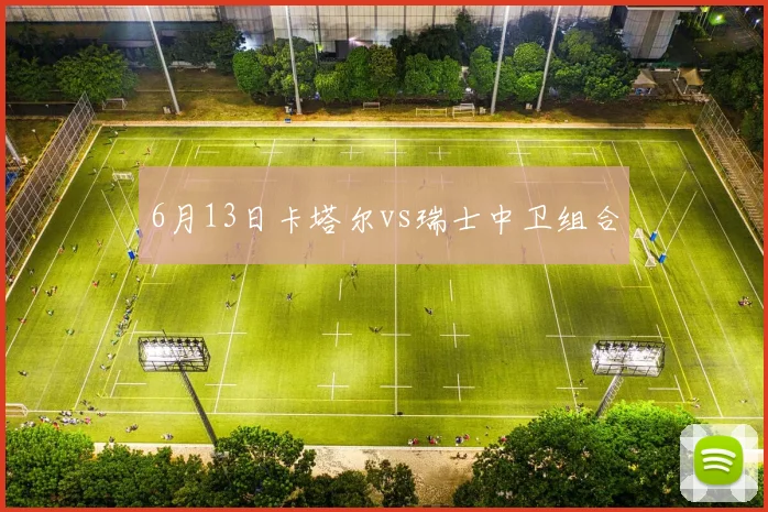 6月13日卡塔尔vs瑞士中卫组合