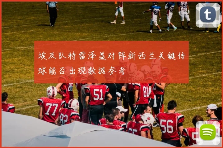 埃及队特雷泽盖对阵新西兰关键传球能否出现数据参考
